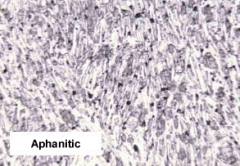 thin section