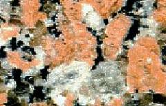 enlarged hand sample
