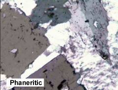 thin section