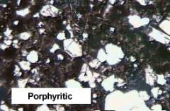thin section
