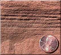 Laminated sandstone from the Mesozoic Moenkopi Formation in Lake Mead National Recreation Area